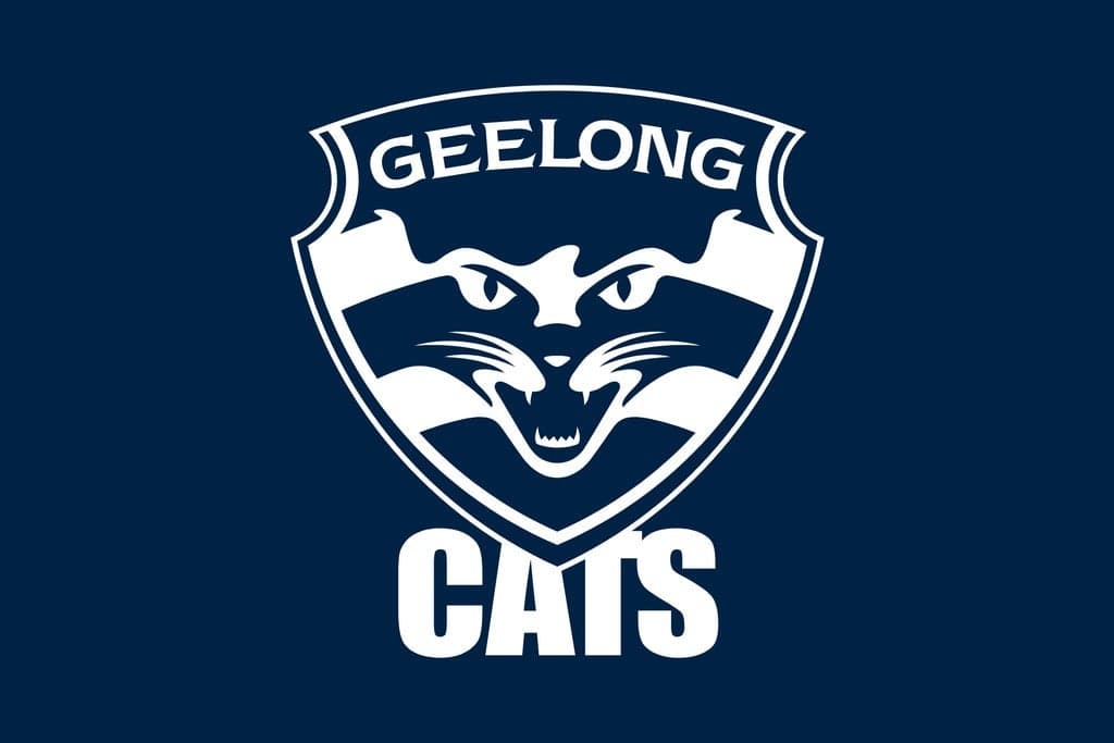 Geelong Cats v Brisbane Lions